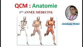 QCM  Anatomie 1 [upl. by Eenobe]