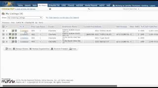 How To Save An Incomplete Listing In Matrix And Then File As Active Later [upl. by Anen]