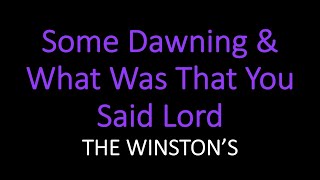 Some Dawning amp What Was That You Said Lord  The Winstons [upl. by Annaiuq331]