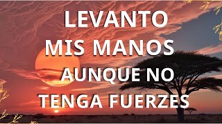 ALABANZAS QUE TRAEN BENDICIONES A TU CASA  HIMNOS CRISTIANOS  MIX ALABANZAS 🕊️ LEVANTO MIS MANOS🕊️ [upl. by Odnesor]