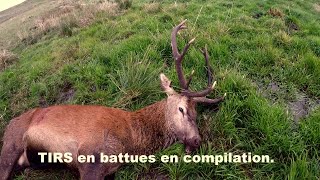 Tirs en compilation en battues [upl. by Lita]