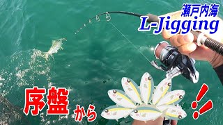 瀬戸内海 LJigging [upl. by Voorhis499]