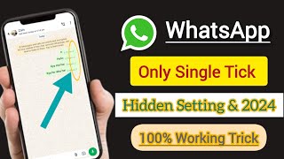 Whatsapp no double tick settings 2024  Whatsapp single tick only  Hide double tick in whatsapp [upl. by Mllly]