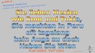 Reinhard Fendrich  Haben sie Wien schon bei Nacht gesehen Instrumental und Karaoke [upl. by Un]