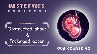 Rev Obstructed labour amp Prolonged labour  Page 225  228  Obstetrics Module 40 [upl. by Anreval598]