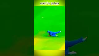 Wait for jadeja catch catch shorts [upl. by Earal344]