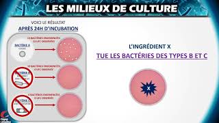 Les milieux de culture généraux sélectifs et différentiels [upl. by Enilauqcaj496]