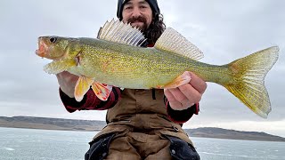 Diefenbaker Walleyes Ice Fishing CHEAP Glide Baits [upl. by Handy409]