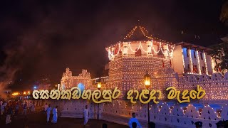 සෙංඩගලපුර දාළදා මැදුරේ  Senakadagalapura Dalada Madure  Song by Isuru Liyanage [upl. by Poul]