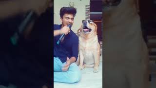 singing dog😂 shorts  Abs saifi [upl. by Carpenter]