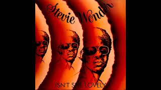 Stevie Wonder  Isnt She Lovely LYRICS [upl. by Rogovy]