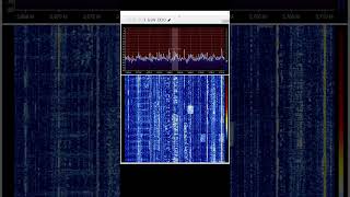 Kurzwellen RTL SDR Live [upl. by Gaal]