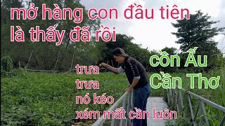 CÂU CÁ GẦN BÈ  QUAY LẠI BÈ CỒN ẤU CẦN THƠ  CÁ LÔI CHÚT NỮA MẤT CÂY CẦN CÂU RỒI  VIDEO 284 [upl. by Ynoyrb642]