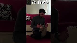 Ya Habibi  ইয়া হাবিবি  gojol  islamicstatus  islamicvideo [upl. by Nnylakcaj490]