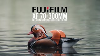 FUJIFILM 70300MM REVIEW  6 MONTHS LATER [upl. by Olmsted]