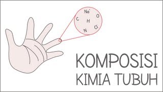 Komposisi Kimia Tubuh  Biomolekul 1 [upl. by Merp479]