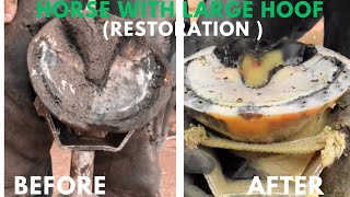 Shire Horse  Hoof Trimming Satisfying Compilation [upl. by Lantha]