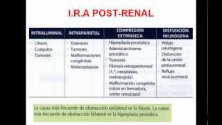 INSUFICIENCIA RENAL AGUDA PARTE 2 [upl. by Aneerb434]