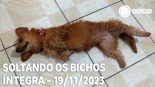 Soltando os Bichos  19112023 [upl. by Henricks17]