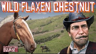 A Wild Flaxen Chestnut Hungarian Halfbred Location Near Dewberry Creek in Red Dead Redemption 2 [upl. by Pownall]