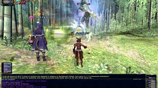 FFXI  Dualboxing an Aeonic Teles [upl. by Lenaj698]