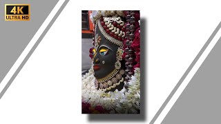 Chitabusmeinseroj 🌺 unkahotasingarStatus MahakalbhasmAarti🌿 UjjainStatus 2024 256K [upl. by Tonkin751]