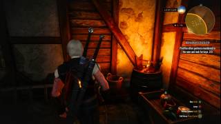 Novigrad Closed City 3rd key Location The Witcher 3 Wild Hunt [upl. by Pals]