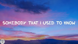 Gotye  Somebody That I Used To Know Lyric Video [upl. by Naujit]