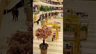 🎋🎋🎋 phoenix palassio Mall song shortvideos 🙏 [upl. by Zoarah567]