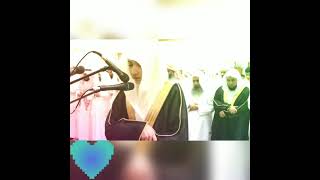 Beautiful Recitation by Qari Idrees Al Hashmi🌷Surah al Qariah⚘ [upl. by Ddahc690]