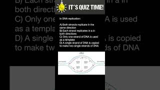 DNA Replication [upl. by Japheth932]