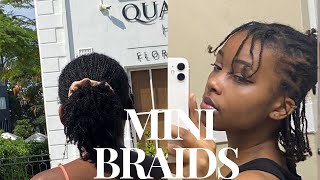 🔥Ultimate Guide How to Keep Your Mini Braids Moisturized amp Fresh Every Day  4C Hair [upl. by Shayne]