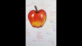 Come colorare una mela con colori a matita senza audio con musica Draw an apple in a simple way [upl. by Anelram711]