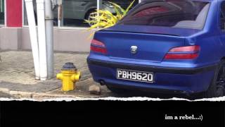 Peugeot 406 v6 Conversion [upl. by Ecnarretal]