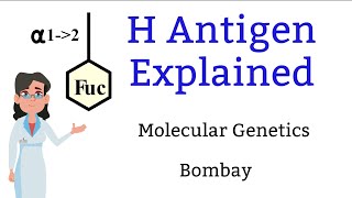 H antigen  Bombay [upl. by Chiquita696]