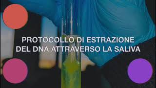 Laboratorio di Scienze Estrazione del DNA dalla saliva 4B as 23 24 [upl. by Xever]