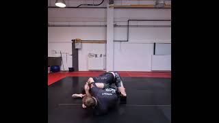 Omoplata from rubber guard bjj jiujitsutechnique grappling mma [upl. by Frager842]