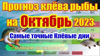 Календарь рыбака на Октябрь Прогноз клева рыбы на неделю Лунный календарь рыбака 2023 [upl. by Rhodes859]