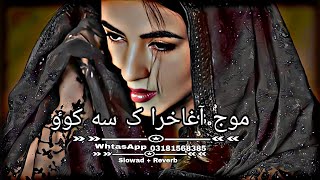 Pashto New Songs 2023 SlowedReverb Pashto Song  Sad Song  Lofi Song  New Song 2023 [upl. by Lowson824]