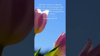 Bible  Jeremiah 4829  We have heard of Moabs pride h [upl. by Amyaj]