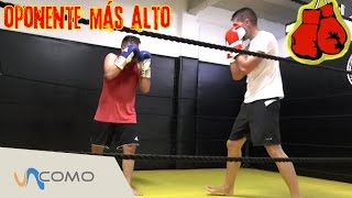 Cómo pelear contra alguien más alto  Boxeo [upl. by Amersham]