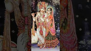 Shree Hit Premanand ji Maharaj radha radhrani radhakrishna bhajanmarg [upl. by Mariquilla331]