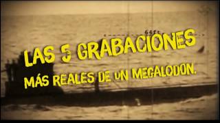 LAS 5 GRABACIONES MÁS REALES DE UN MEGALODON IMPACTANTE [upl. by Anneirb]