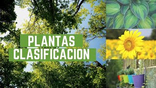 Clasificacion de las plantas explicado para niños [upl. by Zere687]