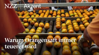 Warum Orangensaft immer teurer wird  NZZ Akzent [upl. by Nuarb]