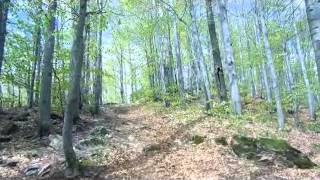 Bieszczady i Bukovské Vrchy  maj 2014 [upl. by Taft]