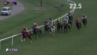 CYRENAICA wins The D W Reid Plate Div1 [upl. by Attlee]