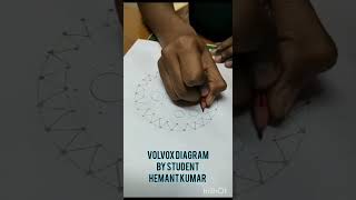 How to draw volvox diagram [upl. by Gnem]