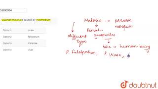 Quartan malaria is caused by Plasmodium [upl. by Drofkcor563]