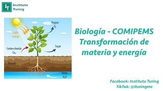 Biología  Transformación de materia y energíaCOMIPEMS [upl. by Debor]